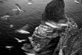 hanbongjeon-dokdo-2010-06-07