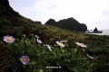 kimchunyeong-2011-09-29-dokdo-10