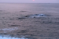 dsc7151