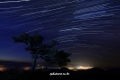 startrails