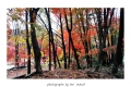 20151108_163905