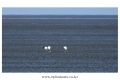 DSCN0190