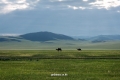 mongol-2013-52-jpg