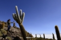 우유니 소금사막(Salar de Uyuni)-물고기섬(Isla Incahuasi)-Photographs by Lee, manuk