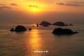 sam_2874