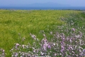 20130511_112649
