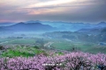 DSC07203a.jpg