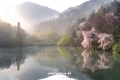 20150415_072259.jpg