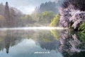 20150415_072942.jpg