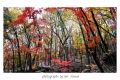 20151108_163748