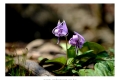 20190414_184735