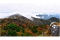 Untitled_Panorama4