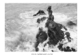 DSC_4957bw-